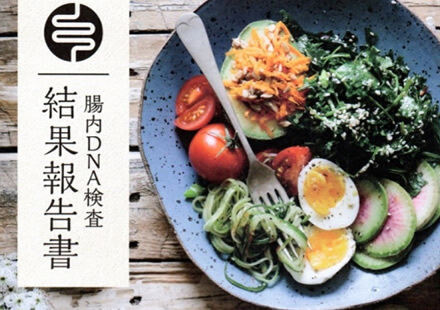 腸内DNA検査キット価格